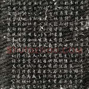 唐代《贾善 墓志》拓片原图欣赏下载