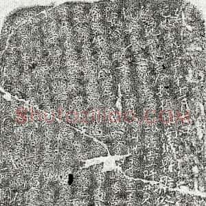 《□君 买地券》拓片原图欣赏下载